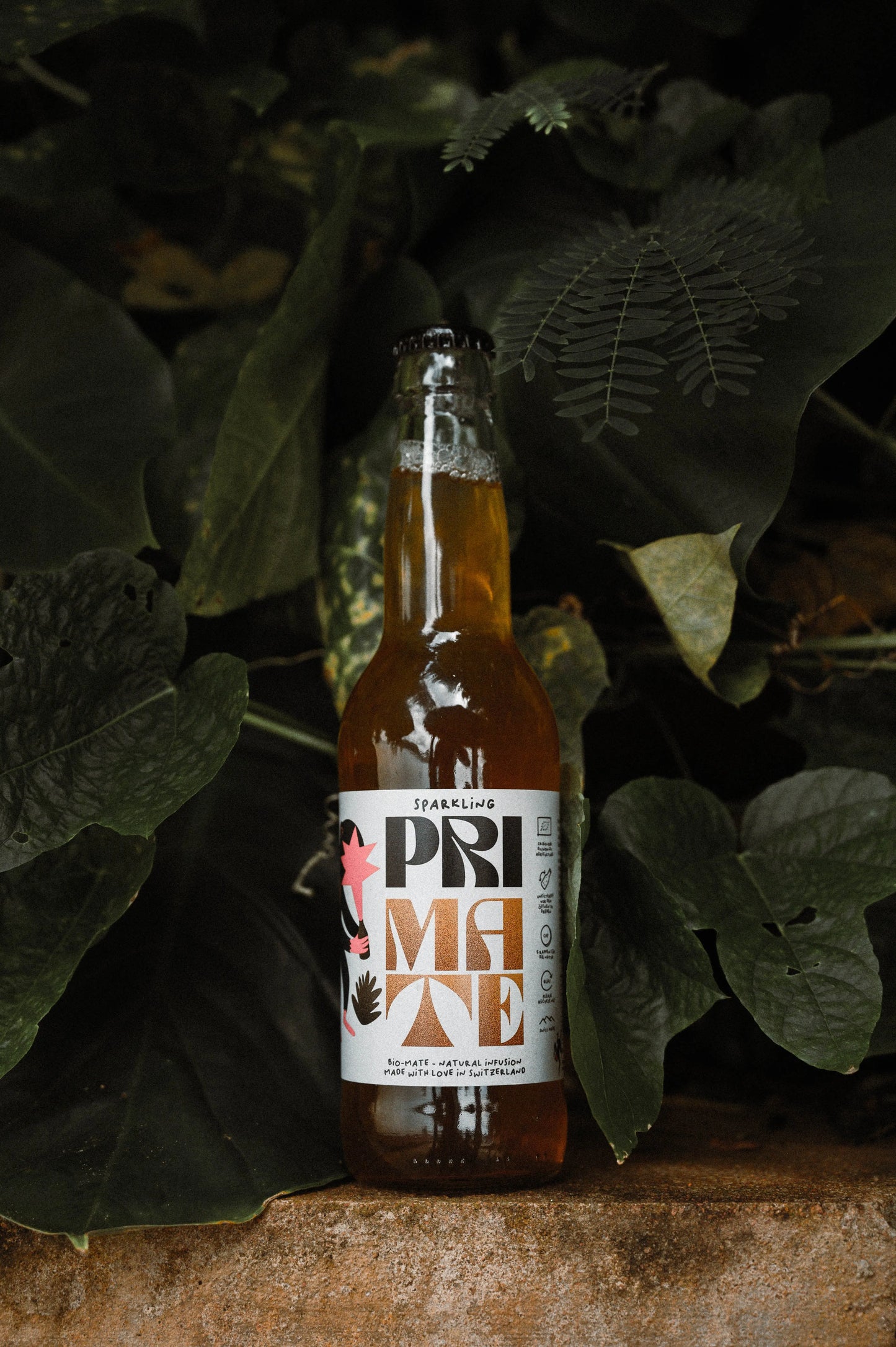 Glasflasche des Getränks PRI MATE Bio-Mate Sparkling steht auf einem Stein vor grossen, grünen tropischen Blättern. Die Flasche ist aufrecht positioniert und deutlich lesbar beschriftet.