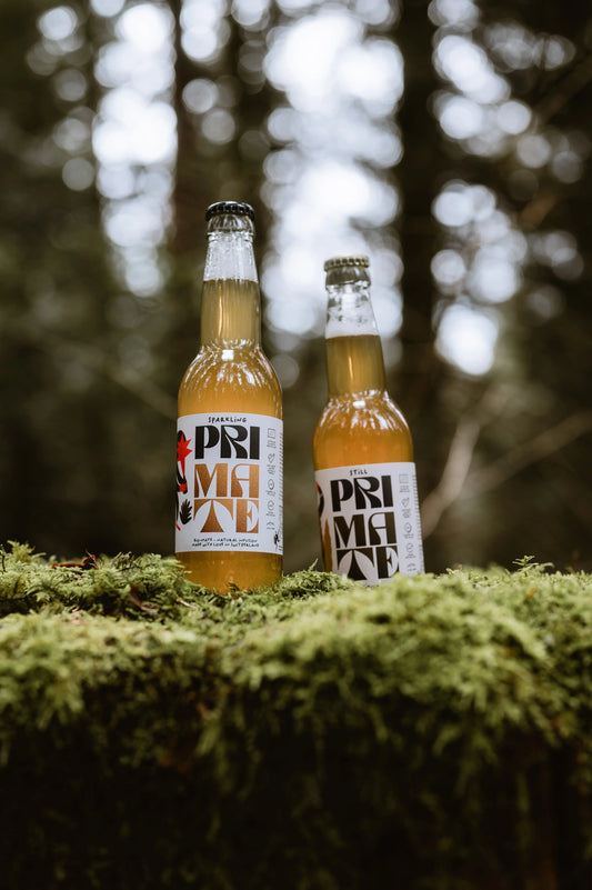 PRI MATE Bio Mix Flasche -  Schweizer Bio-Mate, natürlich hergestellt in Zürich & St. Gallen. Frischer Mate Tee mit wenig Zucker, koffeinhaltig, Swiss Made und Vegan.