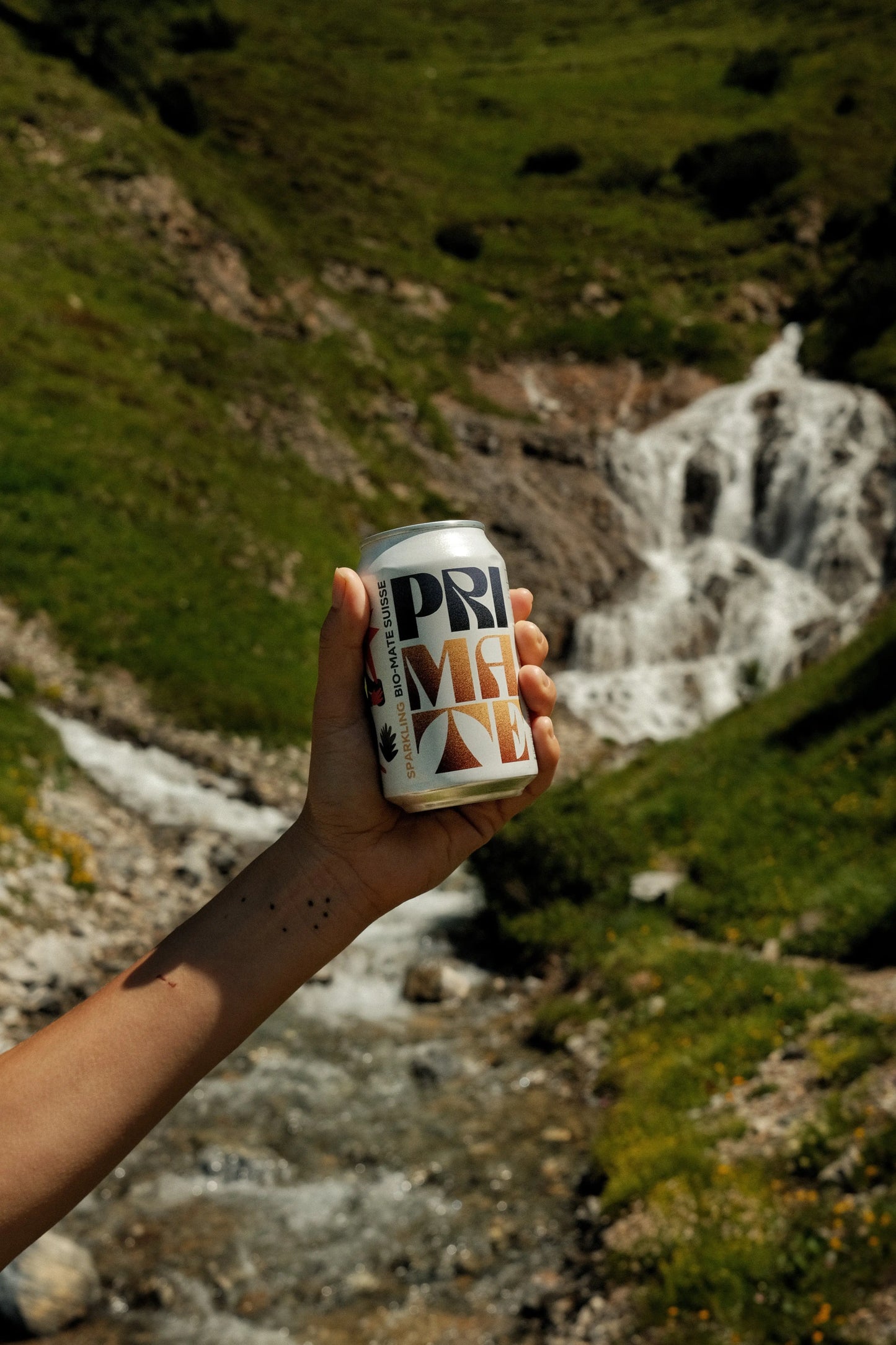 Schweizer Bio-Mate, natürlich hergestellt in Zürich & St. Gallen. Frischer Mate Tee mit wenig Zucker, koffeinhaltig, Swiss Made und Vegan.