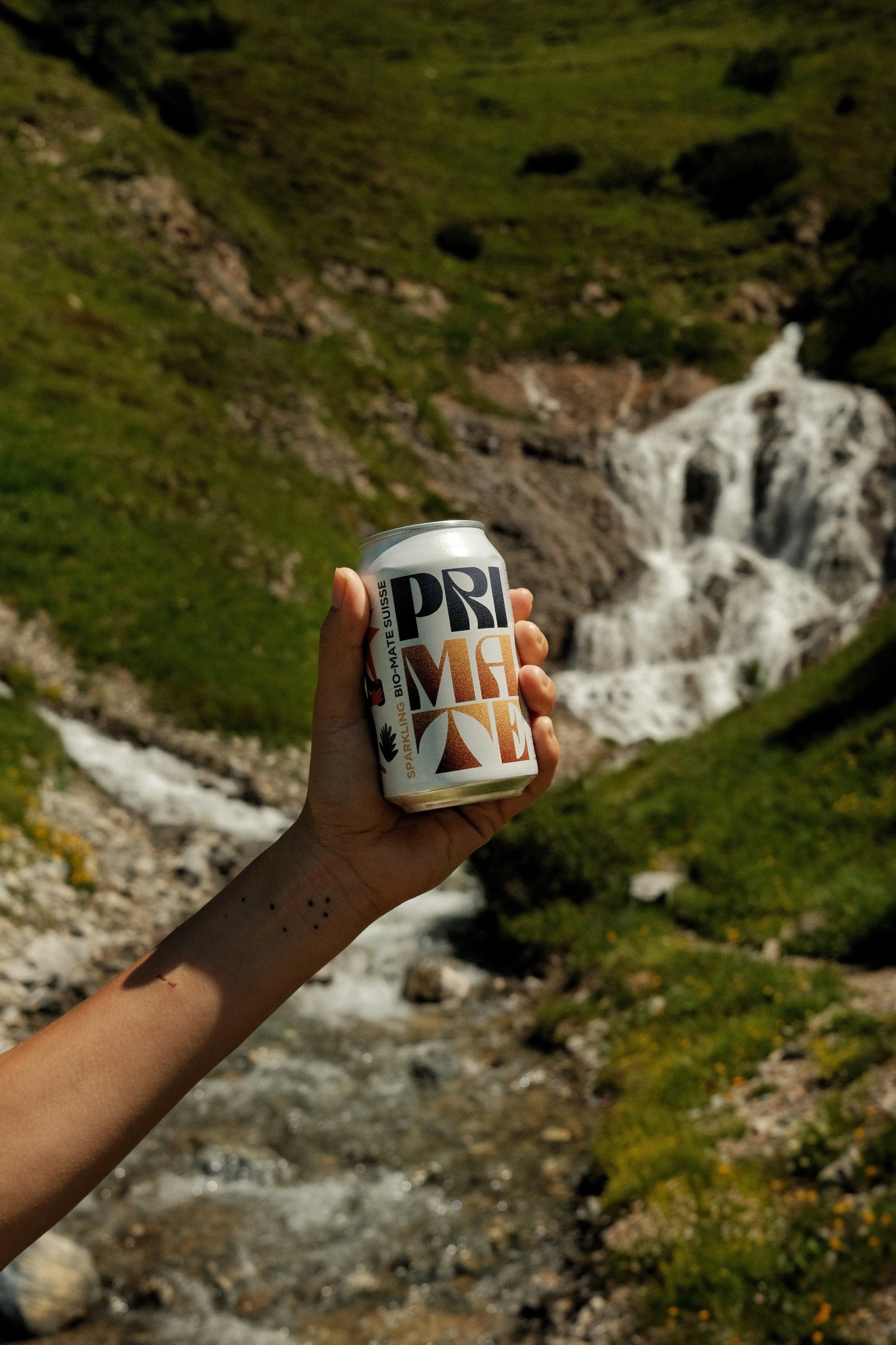 Schweizer Bio-Mate, natürlich hergestellt in Zürich & St. Gallen. Frischer Mate Tee mit wenig Zucker, koffeinhaltig, Swiss Made und Vegan.