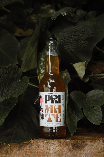 Glasflasche des Getränks PRI MATE Bio-Mate Sparkling steht auf einem Stein vor grossen, grünen tropischen Blättern. Die Flasche ist aufrecht positioniert und deutlich lesbar beschriftet.